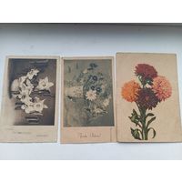 Открытки цветы старые