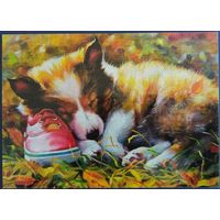 Щенок и ботинок. Е.Рязанова. Украина.