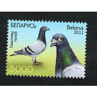 Беларусь. 2011. Голуби. Серия