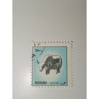 Манама. Фауна. 1972г.