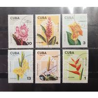 Куба. 1974 год. Флора. Цветы (1289)