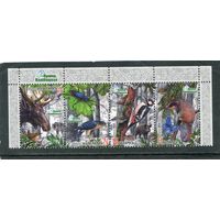 Беларусь 2014. Фауна. Налибокская пуща. Верхняя сцепка листа