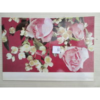 Открытка Размер 20*15 лот 15