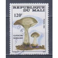 [2155] Мали 1985. Грибы. Гашеная марка.