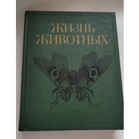 Мир животных том 3 энциклопедия 1984