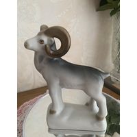 Архар Полонное