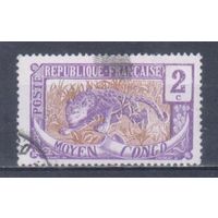 [906] Французские колонии. Среднее Конго 1907. Фауна.Леопард.2 с. Гашеная марка.