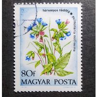 Марка Венгрия 1975 год Цветы