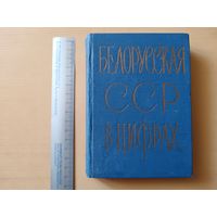 Белорусский книжный и исторический раритет - Краткий статистический сборник Белорусская ССР в цифрах, 1963 год (3630)