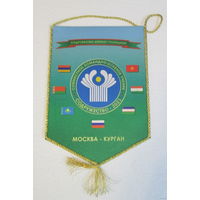 Вымпел. Совместное командно-штабное учение Содружество 2021