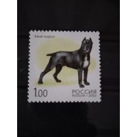 Россия 2002  кане-корсо