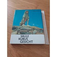 Saule kubus