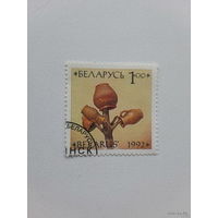 Беларусь. Народныя вырабы. 2 шт.