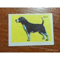 Спичечная этикетка Бигль