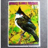 Марка Экваториальная Гвинея 1976 год Птицы