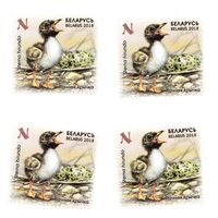 Марка Речная крачка