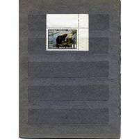 СССР, 1961, ФАУНА СССР**,   БОБР, чистая**