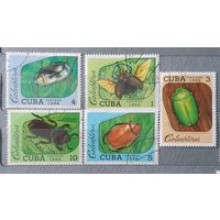 Куба жуки 5шт