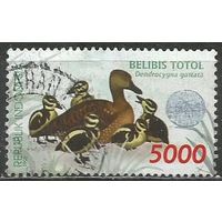 Индонезия. Птицы. Пятнистая свистящая утка. 1998г. Mi#1829.