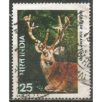 Индия. Болотный олень. 1976г. Mi#691.