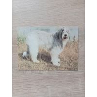 Календарик 1993