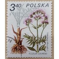 Польша 1980. Флора. Цветы. Valeriana officinalis. Марка из серии