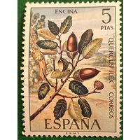 Испания 1972. Вечнозеленый дуб