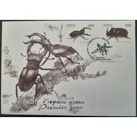 КПД. Жуки. 2001 г.