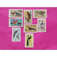Вьетнам. Птицы. Фазаны. ( 8 марок ) 1979 года. 11-6.