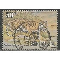 Малайзия. Животный мир юга Азии. Тигр. 1979г. Mi#189.