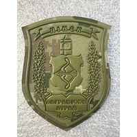 Шеврон пограничный отряд Пинск