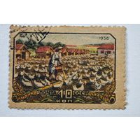 1956 год СССР марка