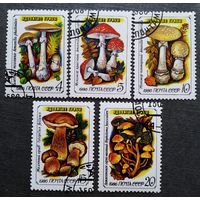 Марка СССР 1986 год Грибы