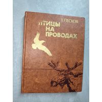 Василий Песков "Птицы на проводах"