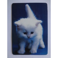 Календарик 1997 г. Белый котенок.