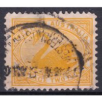 159.Aust. Великобритания. Австралийские штаты. Западная Австралия. Чёрный лебедь. Стандарт. 1903 г. 2p. Mi.#50A.