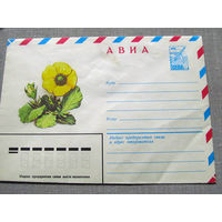 С026-0064 Конверт Чистый Авиа Парагеум горный 1982