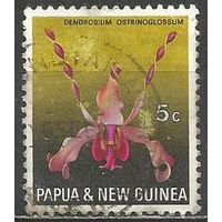 Папуа Новая-Гвинея. Цветы. Дендробиум толстогубый. 1969г. Mi#161.