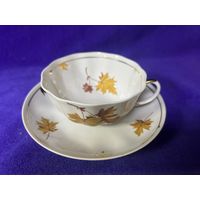 Чайная пара кленовый лист дулево с рубля