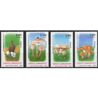 Турция 1994. Флора Грибы 4 марки (3032)