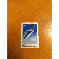 1962 СССР Загорский 2646 фауна рыбы чистая MNH** (сф-6)