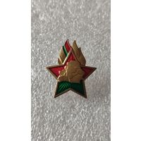 Значек знак Пионерский значек Беларусь,200 лотов с 1 рубля!!!