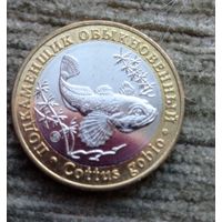 Werty71 Жетон ММД 5 червонцев 2020  Красная книга СССР Рыба биметалл Подкаменщик обыкновенный