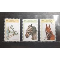 Лаос. 1996 год. Фауна. Лошади (1137)