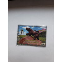 Сувенирный магнитик Ярославль