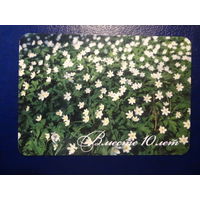 Календарик 2006 г.  Славнефтебанк.  Вместе 10 лет.