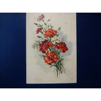 Гвоздики.  1959 г.