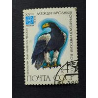1982 СССР. 18й международный орнитологический конгресс. Птицы. Белоплечий орлан
