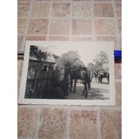 Фото кавалерия