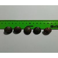 Пуговицы 5шт.
